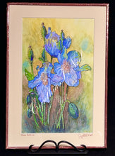 Load image into Gallery viewer, Blue Poppy
