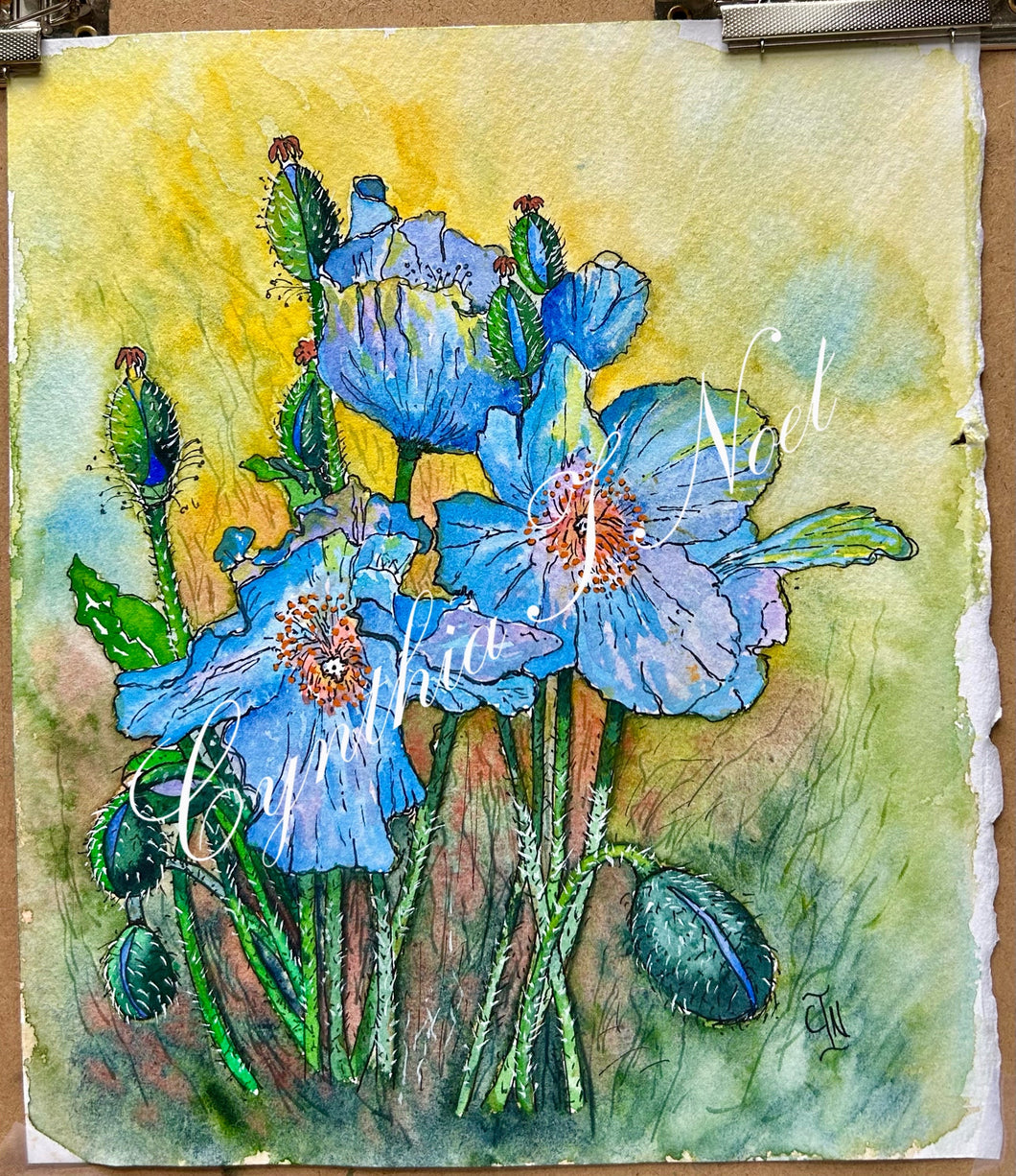 Blue Poppy