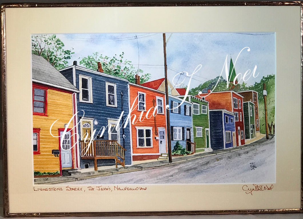 Livingstone Street, St. John’s, Newfoundland & Labrador