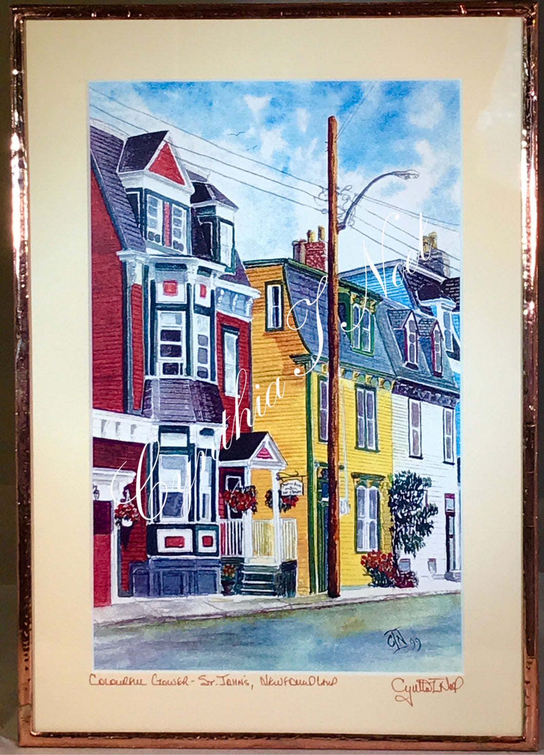 Colourful Gower, St. John’s, Newfoundland & Labrador